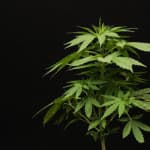 Oxford Treatment Center photo