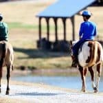 horse back riding as addition therapy at Oxford Treatment Center