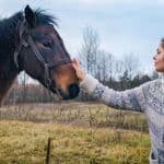 alternative therapy equestrian