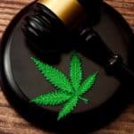 Mississippi court ruling on marijuana