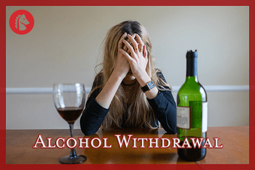 help with alcohol withdrawal ambien will